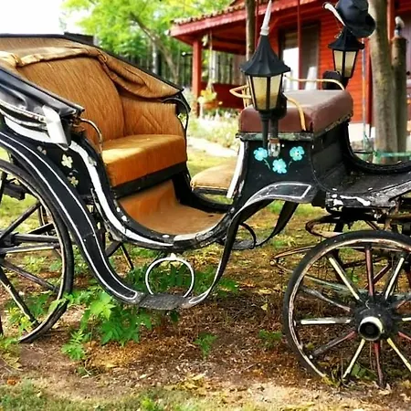 Complex Kosharite Byala (Ruse)