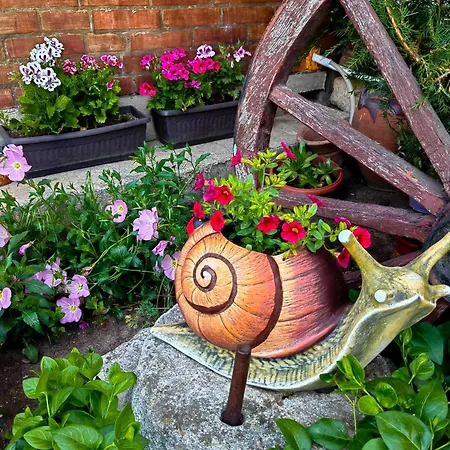 Complex Kosharite Byala (Ruse)