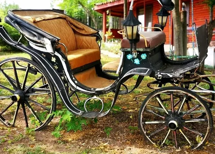 Complex Kosharite Byala (Ruse)